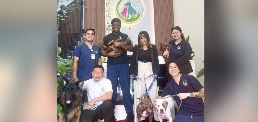 You are currently viewing Fancy & Furry Pets Care Launches Exciting Boarding Offer for Cats and Dogs in Dubai