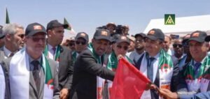 Read more about the article Trans-Saharan Gas Pipeline Project Advances With Algerian Segment